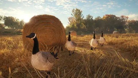theHunter: Call of the Wild™ screenshot