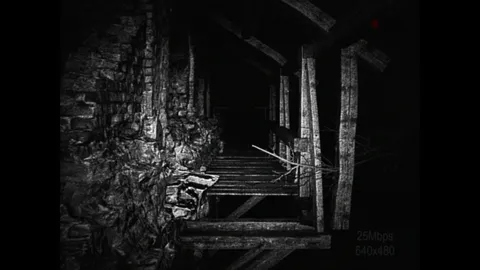 [REC] Desolation screenshot