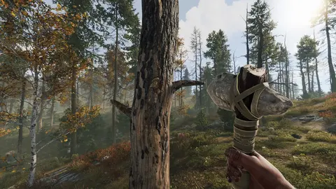 Rust screenshot