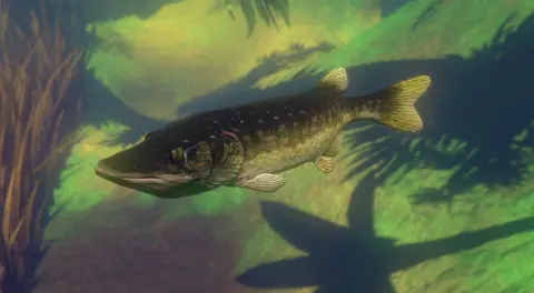 Feed and Grow: Fish screenshot