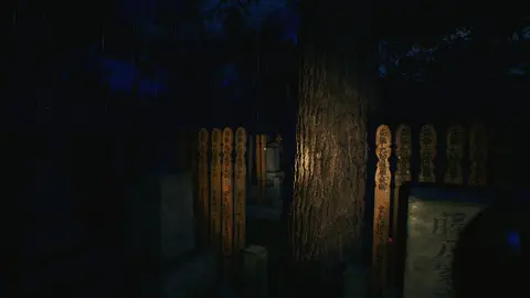 The Sinking Forest - 沈んだ森 - screenshot