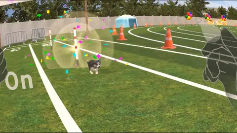 PET TOWN screenshot