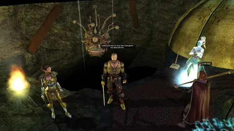 Neverwinter Nights: Enhanced Edition screenshot