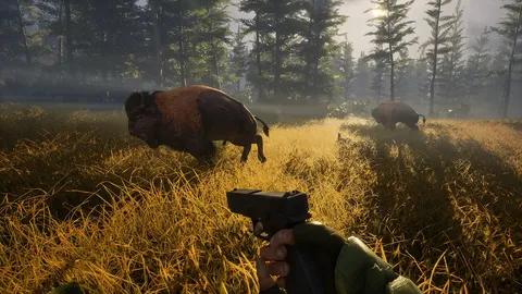 BIGFOOT screenshot