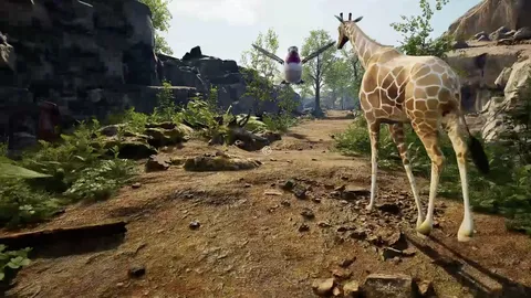 NOAH'S VRK screenshot