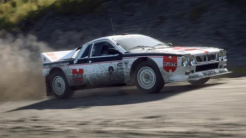 Dirt Rally 2.0 screenshot