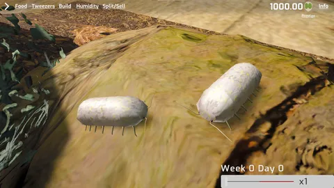Isopod Keeping Simulator screenshot