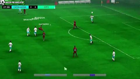 Soccer Pro Simulator screenshot