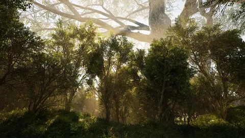 Calming Forest screenshot