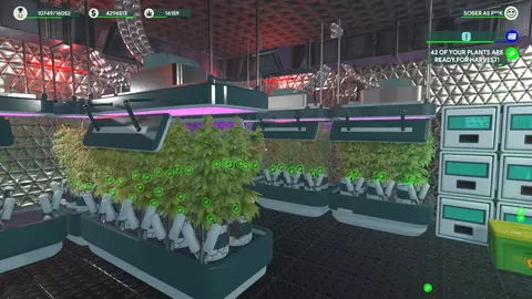 Weed Shop 3 screenshot