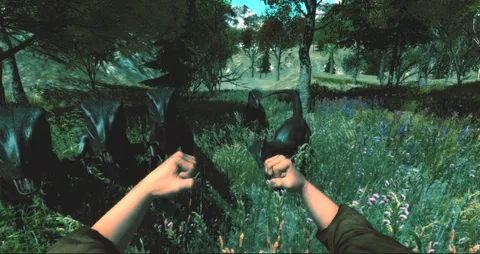 Dinosaur Forest screenshot