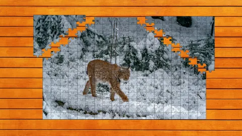 Wild Lynx Jigsaw screenshot