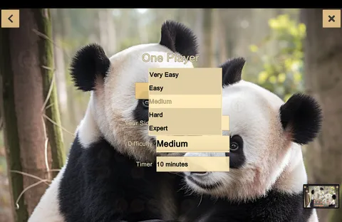 Chinese Chess - Xiangqi screenshot