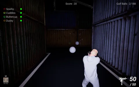 Lost Balls screenshot