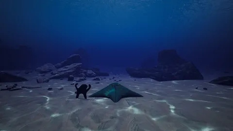 Starfish Simulator screenshot