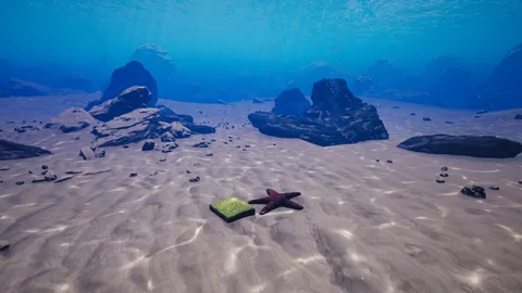 Starfish Simulator screenshot