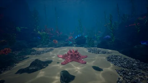 Starfish Simulator screenshot