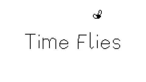 Time Flies screenshot