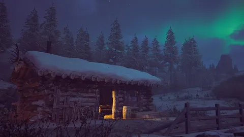 Winter Survival screenshot