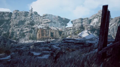 Winter Survival screenshot