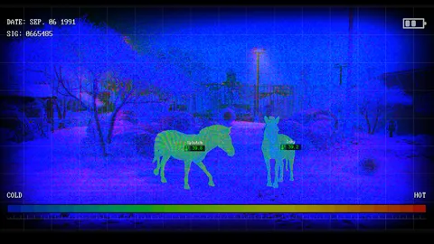 Zoochosis screenshot