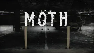 Moth cover