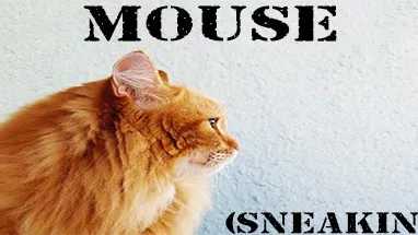 Mouse (Sneaking) cover