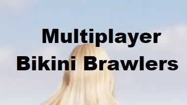 Multiplayer Bikini Brawlers cover