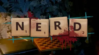 N.E.R.D cover