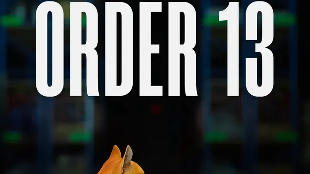 ORDER 13 cover