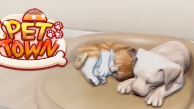 PET TOWN cover