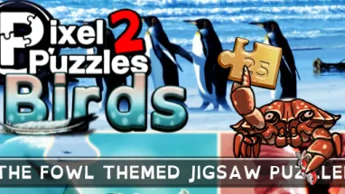 Pixel Puzzles 2: Birds cover