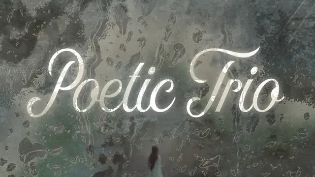 Poetic Trio cover