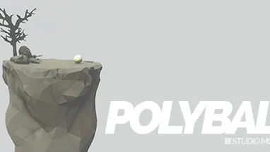 Polyball cover