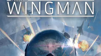 Project Wingman cover