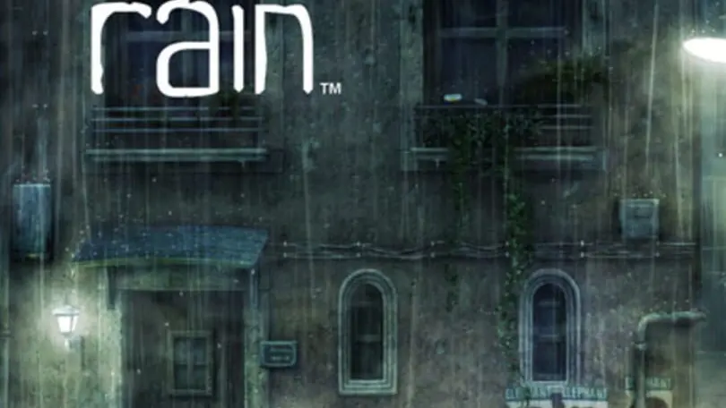 Rain cover