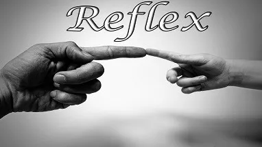 Reflex cover