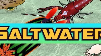 SALTWATER cover