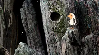Samorost 1 cover