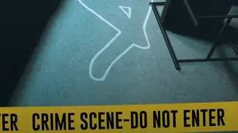 Scene Investigators cover