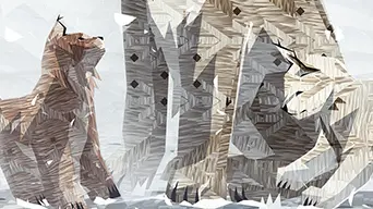Shelter 2 cover