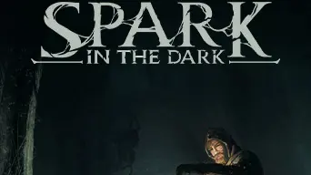 Spark in the Dark cover