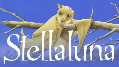 Stellaluna cover