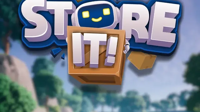 Store It! cover