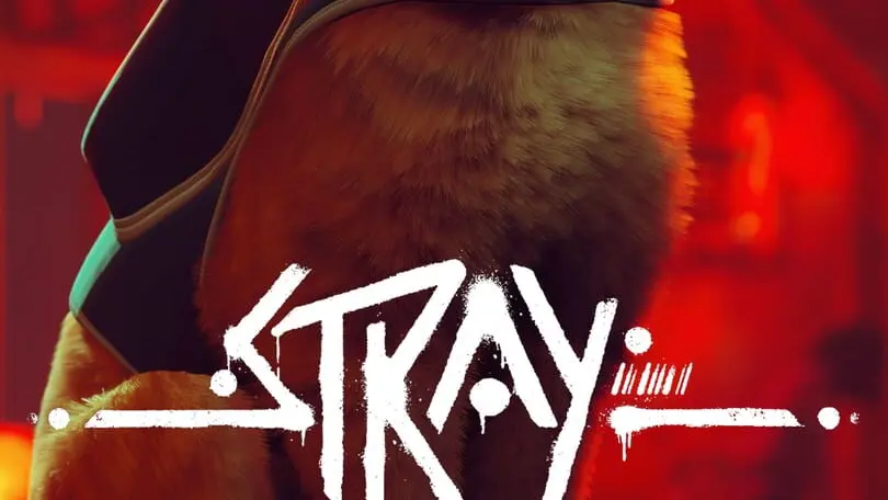 Stray cover