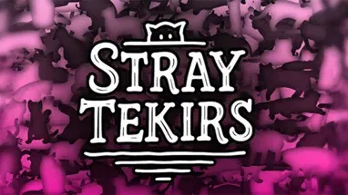 Stray Tekirs cover