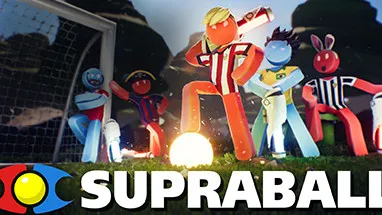 Supraball cover