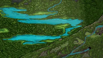 Tangledeep cover
