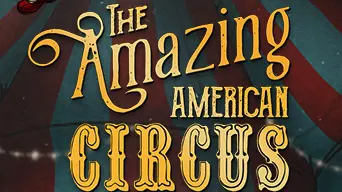 The Amazing American Circus cover