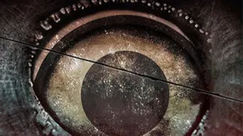 The Crow's Eye cover